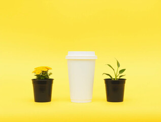 White Coffee Cup on Yellow | Minimalist Plants Photo & Background