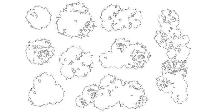 Floral Outline Illustrations of Small and Large Bushes