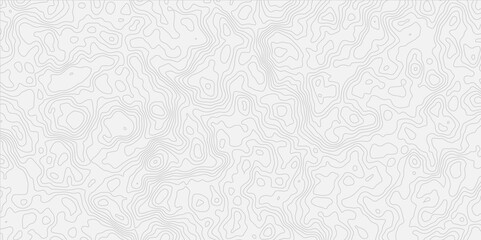 modern white and grey wavey curve line contour map design featuring  topography minimalist white background.
