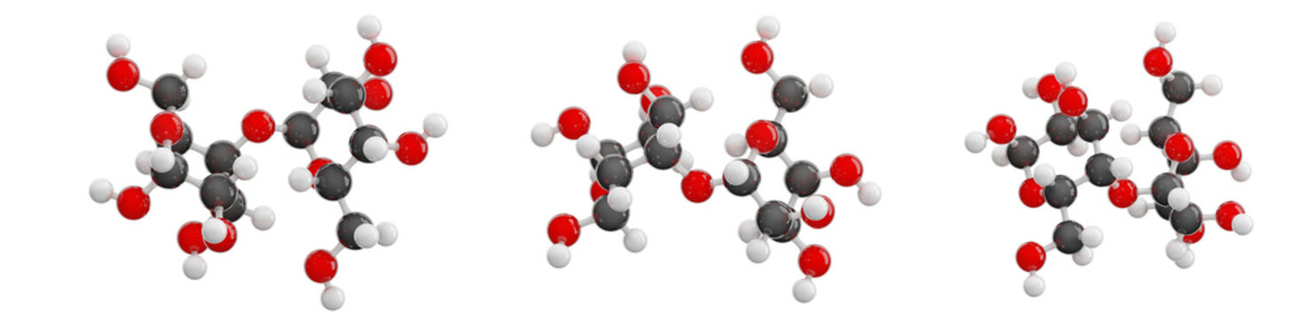 Lactose molecule isolated on transparent background. Set of views showcasing a detailed 3D milk sugar model. Molecular formula: C12H22O11. Chemical model: Ball and Stick. 3d illustration