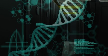 Opening on server hall, turquoise DNA helix floating as code blocks scrolling visualizing data flow - Powered by Adobe