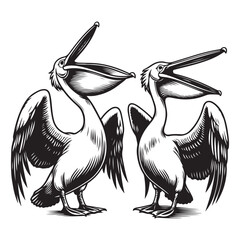Two pelicans big mouth image vector