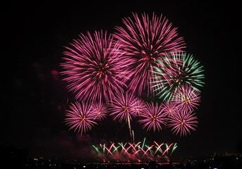Fireworks display illuminating night sky celebration