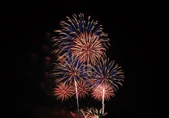 Fireworks illuminating the dark night sky