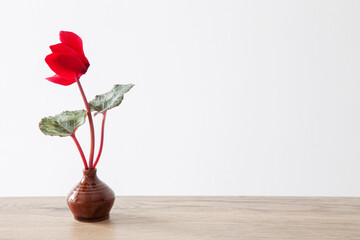 red cyclamen in brown ceramic little vase on wooden table