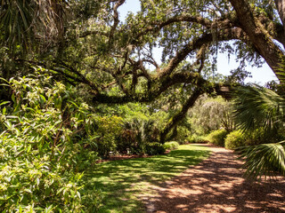 Obraz premium A walking path through the gardens