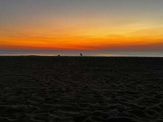 Pre-dawn sky at Virginia Beach with silhouettes of birds and glowing orange and blue horizon