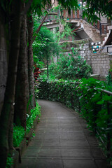 Discovering a serene pathway among lush greenery in Bali's summer warmth