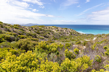 Shelly Beach viewed from the hill above from the southern shore of the Nornalup Inlet in the Walpole-Nornalup National Park, Shire of Denmark, Great Southern region of Western Australia, WA, 