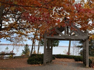 Fall