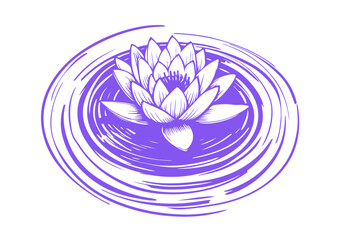 Lotus Flower Hand Drawn Natural Illustration Vector Isolated by AZ for Books, Arts, Design and Decoration Graphic Asset