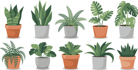 Obraz premium Different plant collection in pot for home decoration, isolated on a white background. Minimalist Potted Plant Collection, Indoor Plants and Decorative Pots, Simple Houseplant Illustration.