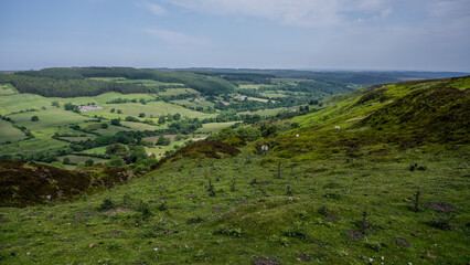 Obraz premium Breathtaking panorama of rolling green hills, valleys, and forests in the North York Moors National Park, showcasing the beauty of the English countryside