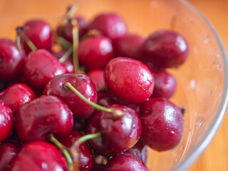 Freshly Harvested Red Cherries in a Bowl