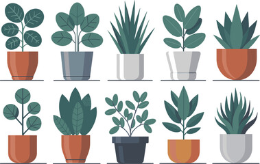 Different plant collection in pot for home decoration, isolated on a white background. Minimalist Potted Plant Collection, Indoor Plants and Decorative Pots, Simple Houseplant Illustration.