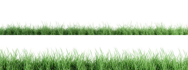 grass isolated on white background