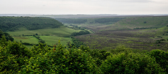 Lush green valley and hills stretching under cloudy sky in North York Moors National Park, United Kingdom