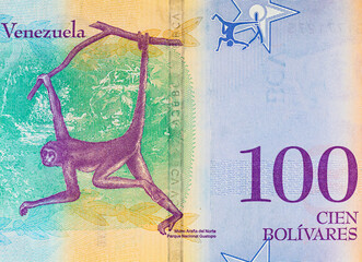 100 Bolivares Venezuela, with a portrait of a monkey. Fragment for designers. Money of Venezuela.