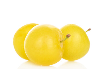 Yellow juicy plums isolated on white background, close-up.