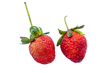Strawberry isolated on white background.