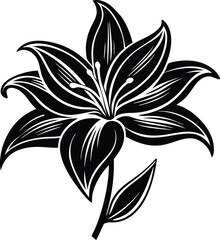 Elegant Black and White Lily Flower Illustration