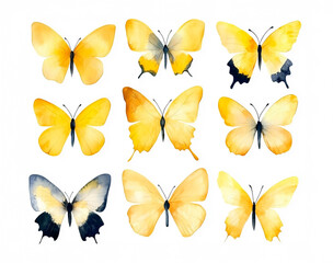 Watercolor ai-generared illustration of a Yellow Butterfly Collection. Isolated on a white background