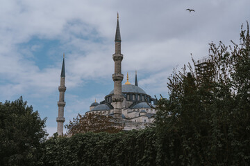Sultan ahmed mosque rising above the trees in istanbul