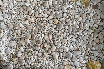 White pebbles texture top view, garden decor