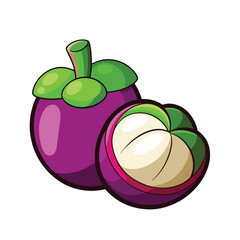 Vibrant vector illustration of fresh purple mangosteen fruit whole and sliced on white background