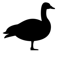 Elegant Goose Silhouette for Nature Prints and Garden Decor Ideas