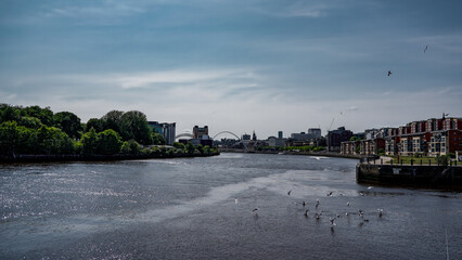 Scenic view of River Tyne with seagulls flying and modern buildings in Newcastle upon Tyne, England, United Kingdom