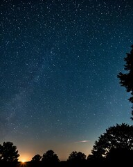 Naklejka premium Silent Stars Above the Forest