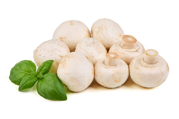 Mushrooms Basil Isolated, Fresh White Champignon Fungi