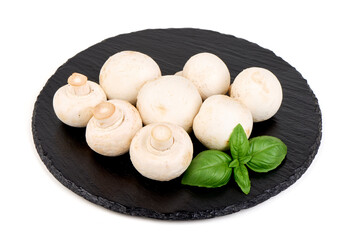 Mushrooms, White Agaricus, Basil on Slate Stone
