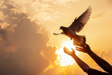 hands releasing dove into fiery sunset sky