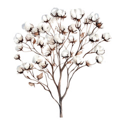 watercolor of A Cotton Tree, vector, isolated on a white background.