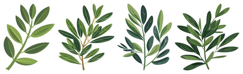 PNG Four green leafy branches, element set on transparent background