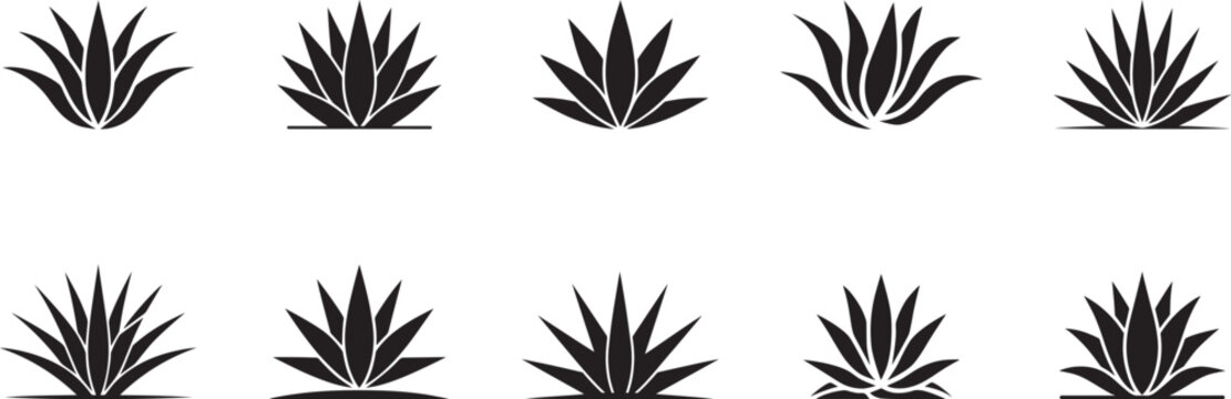 Agave plant silhouettes collection various styles. eps-10