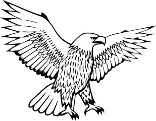 Eagle Silhouette in Details Vector Illustration
