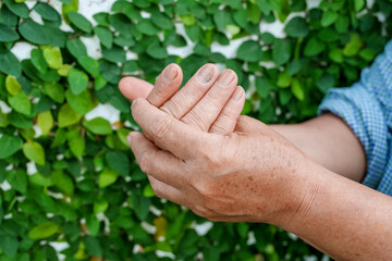 A woman uses her other hand to feel pain and tingling. along with Guillain-Barre syndrome and numbness in the hands Elderly woman tries to massage herself to relieve wrist pain