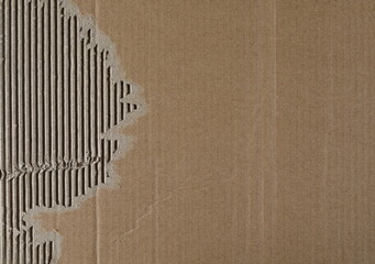 Torn cardboard background and texture	