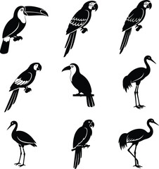 Obraz premium Collection of black and white bird silhouettes