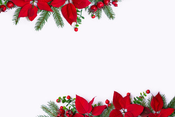 Christmas decoration. Flowers of red poinsettia, branch christmas tree, red berries with space for text on a white background. Top view, flat lay