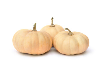 Fresh raw pumpkins on a white background with space for text