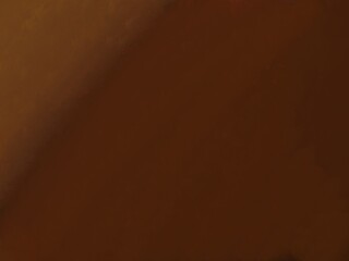 brown gradient background and earthy tones