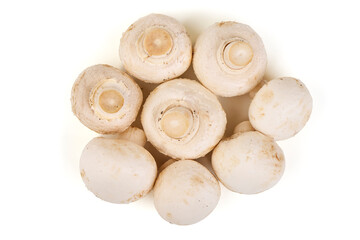 Agaricus bisporus, Mushrooms, isolated on white background