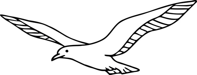 Illustration of seagull flying drawing vector illustration outline art simple bird sketch image in black and white style design vector