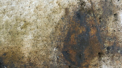 Close up of mold and mildew stains on damp concrete wall surface