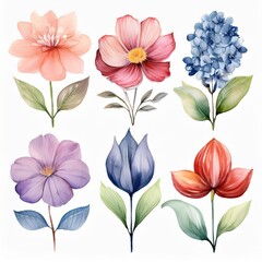 Elegant Watercolor Floral Clipart Collection Delicate Flower Arrangements for Design Projects, Wedding Invitations, and Creative Visuals