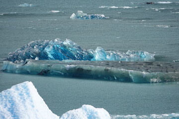 Deep Blue Icebergs at Perito Moreno Glacier, El Calafate, Argentina
